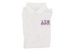 Delta Sigma Phi Game Day Nike Tech Sport Dri-FIT Polo