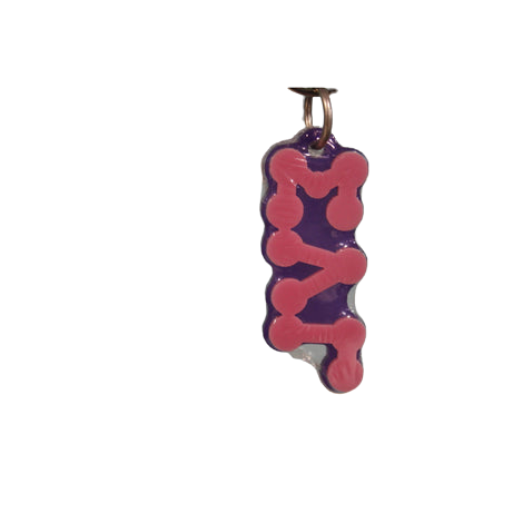 Sigma Lambda Gamma Bubble Greek Letter Acrylic Keychain