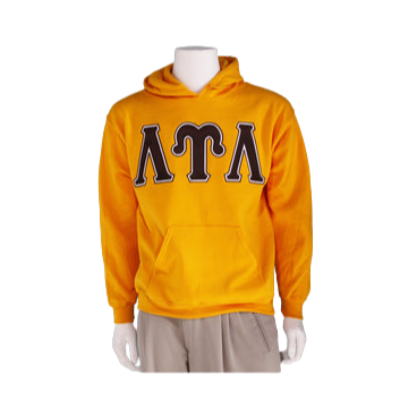 Lambda Upsilon Lambda Satin Stitch Hoodie