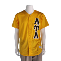 Lambda Upsilon Lambda Baseball Jersey