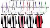 Graduation Stole with Letters And Class Of ....  With Trim