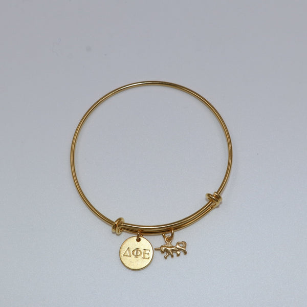 Delta Phi Epsilon Expandable Bracelet