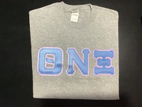 Theta Nu Xi Sport Gray Greek Tee