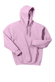 Alpha Kappa Alpha Ivy Hoodie