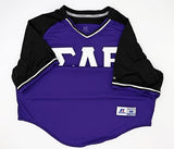 Sigma Lambda Beta Classic  V-Neck Jersey