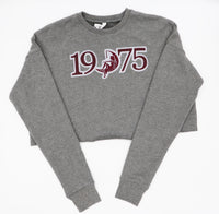 Lambda Theta Alpha 1975 with Lady on the Moon Crop Sweater