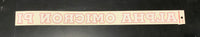 Alpha Omicron Pi Horizontal Decal